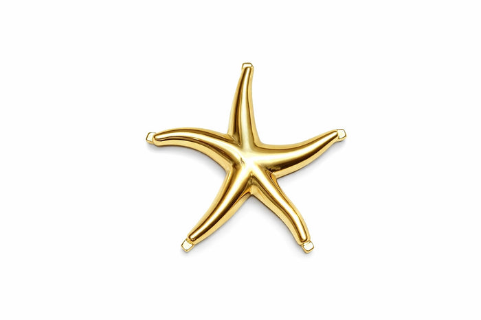 14kt Starfish