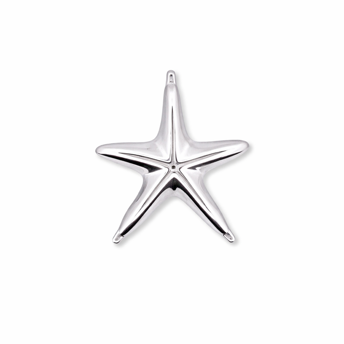 Silver Starfish