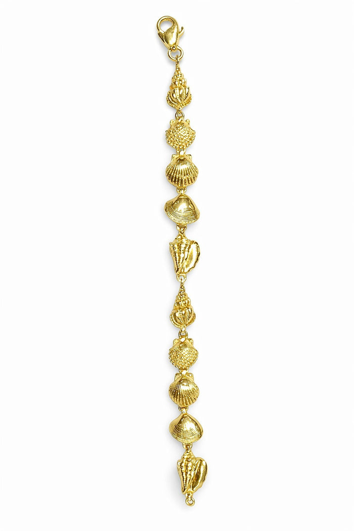 14K Yellow Gold Seashell Link Bracelet, 8 Inch