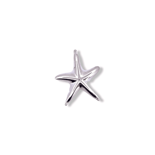 Silver Starfish