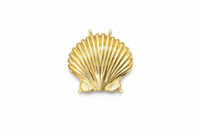 14kt Seashell