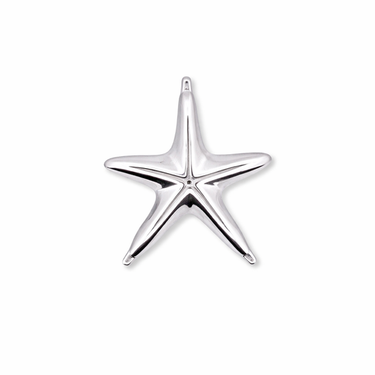 Silver Starfish